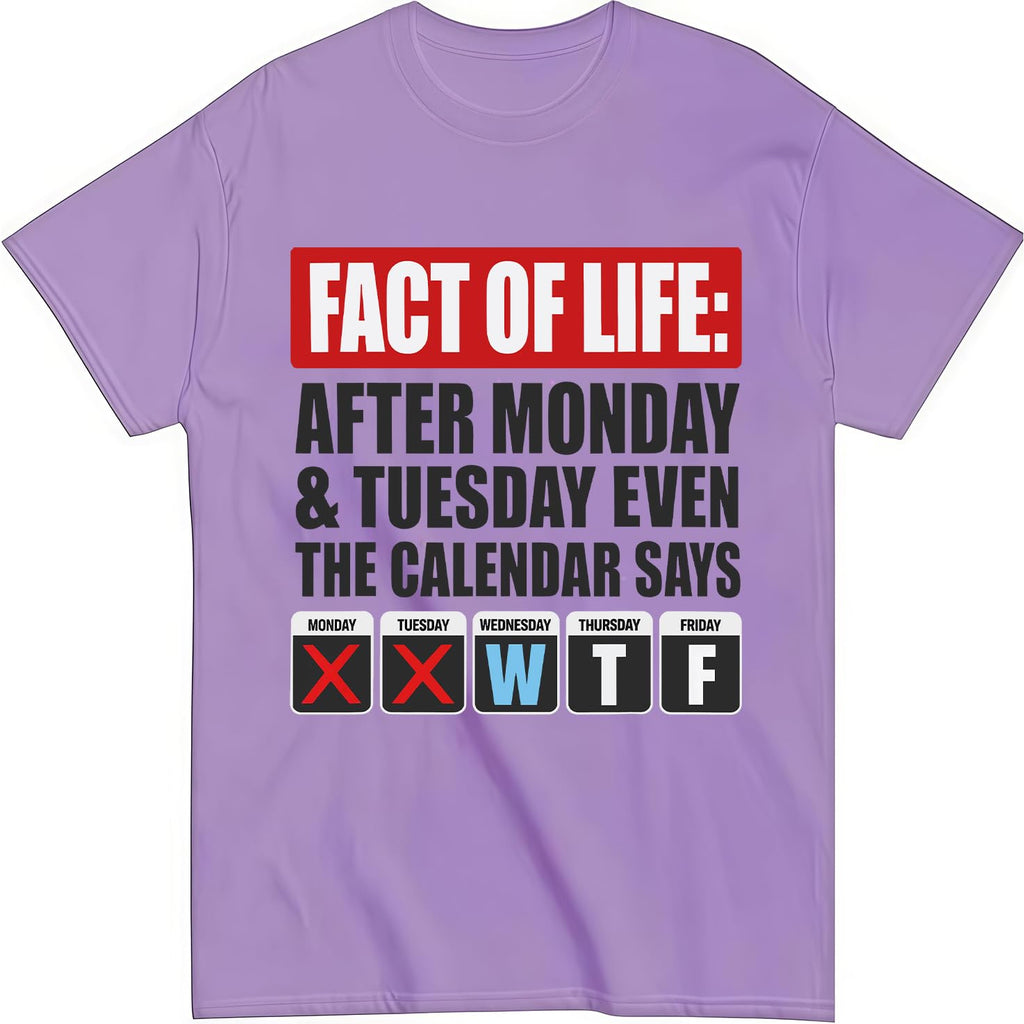 Fact of Life Shirt After Monday and Tuesday Even the Calendar Says WTF T-Shirt Funny Office Work Humor Tees