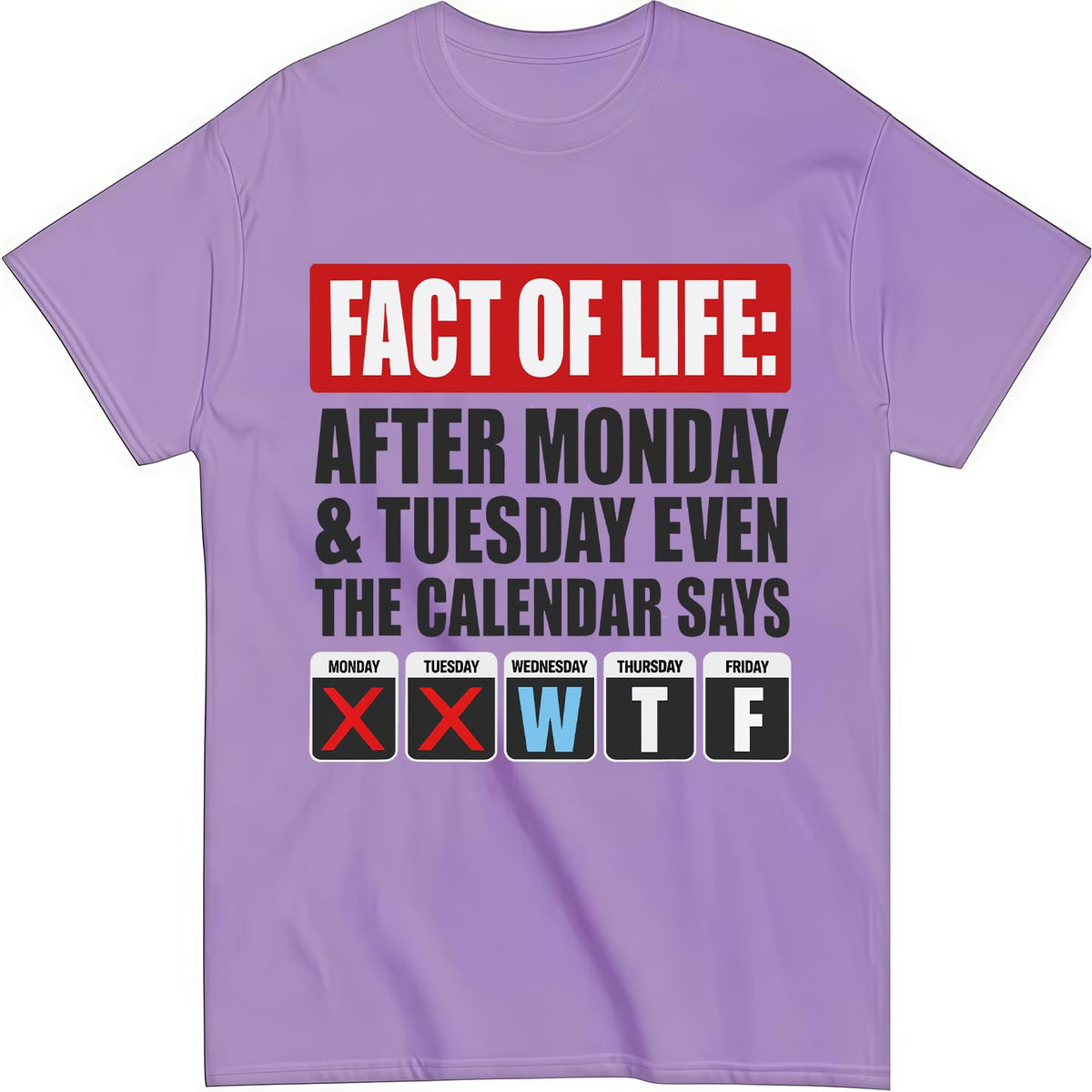 Fact of Life Shirt After Monday and Tuesday Even the Calendar Says WTF T-Shirt Funny Office Work Humor Tees