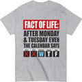 Fact of Life Shirt After Monday and Tuesday Even the Calendar Says WTF T-Shirt Funny Office Work Humor Tees