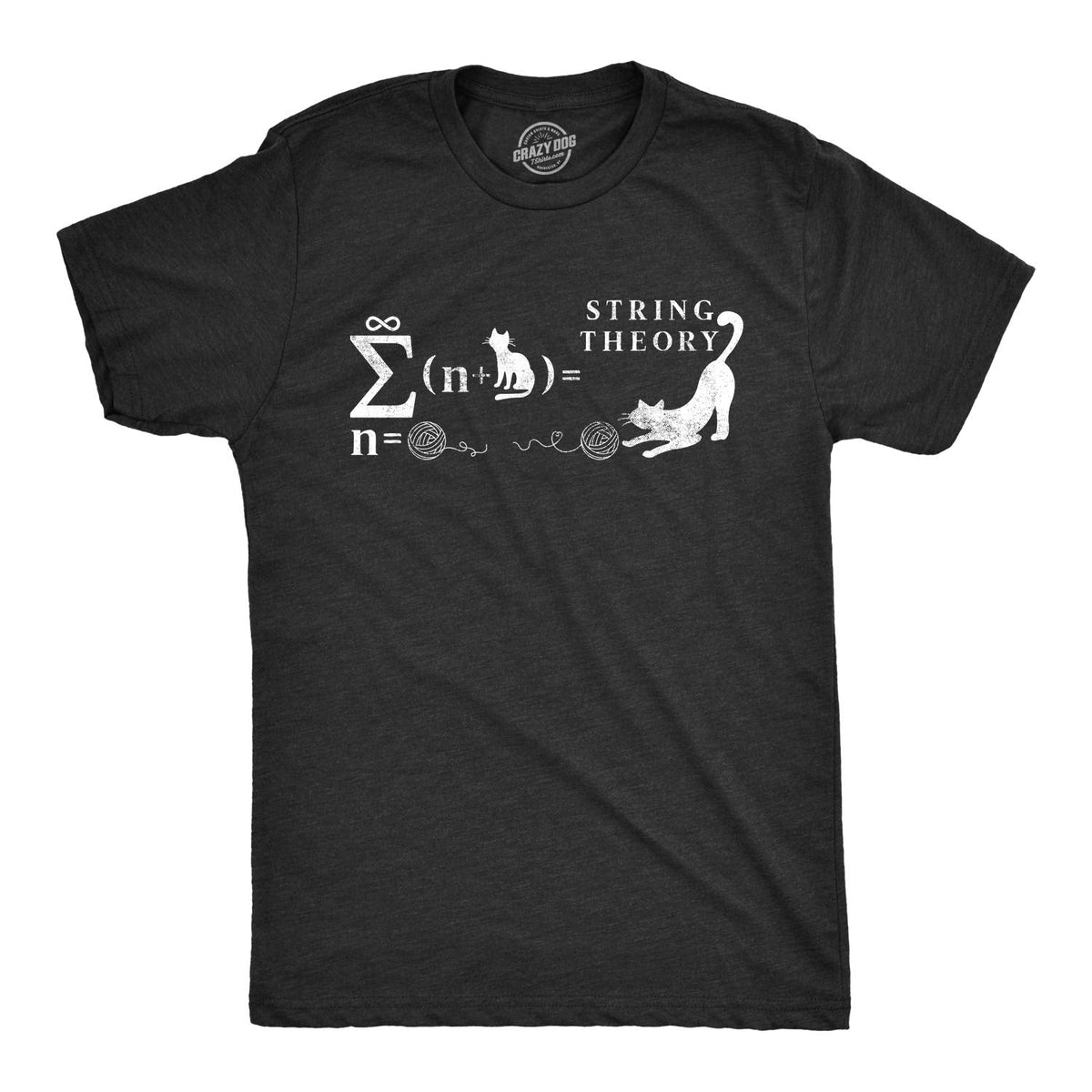 Mens String Theory T Shirt Funny Cat Math Science Nerdy Tee